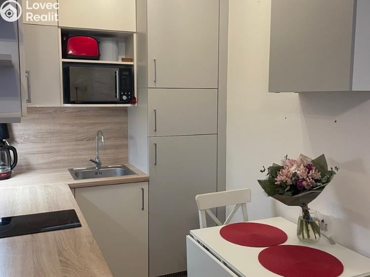 Rent apartment 1+KK Přezletice, Pod Zahrady č. 3