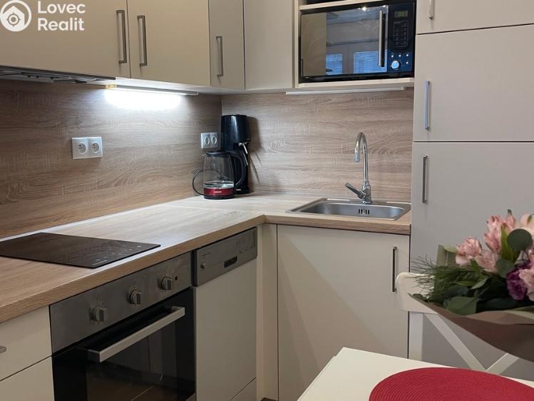 Rent apartment 1+KK Přezletice, Pod Zahrady č. 5