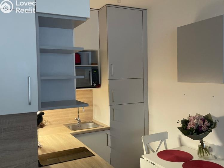 Rent apartment 1+KK Přezletice, Pod Zahrady č. 6