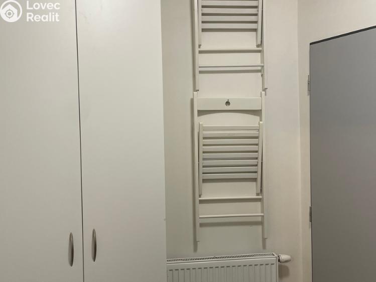 Rent apartment 1+KK Přezletice, Pod Zahrady č. 8