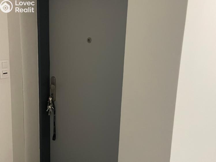 Rent apartment 1+KK Přezletice, Pod Zahrady č. 11