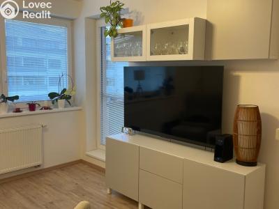 Pronájem bytu 1+KK Přezletice, Pod Zahrady č. 1