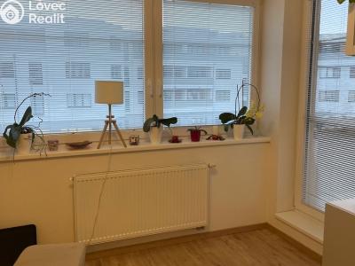 Pronájem bytu 1+KK Přezletice, Pod Zahrady č. 4