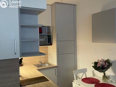 Pronájem bytu 1+KK Přezletice, Pod Zahrady č. 6