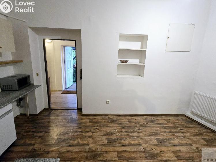 Pronájem bytu 2+1 Nové Strašecí č. 9