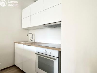 Rent apartment 2+KK Praha, Bermanova č. 3