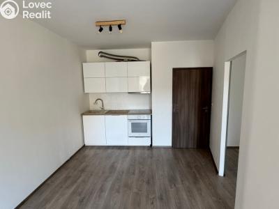 Rent apartment 2+KK Praha, Bermanova č. 4