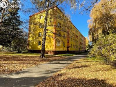 Prodej bytu 2+1 Ostrava, Adamusova č. 3