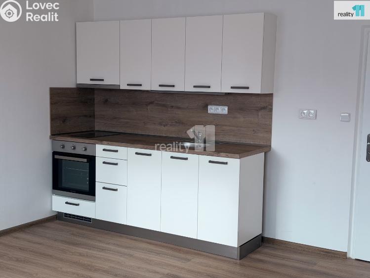 Pronájem bytu 1+KK Plzeň, Hodonínská č. 12