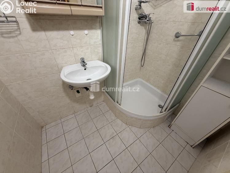 Pronájem bytu 2+1 Praha 5, Zapova č. 11