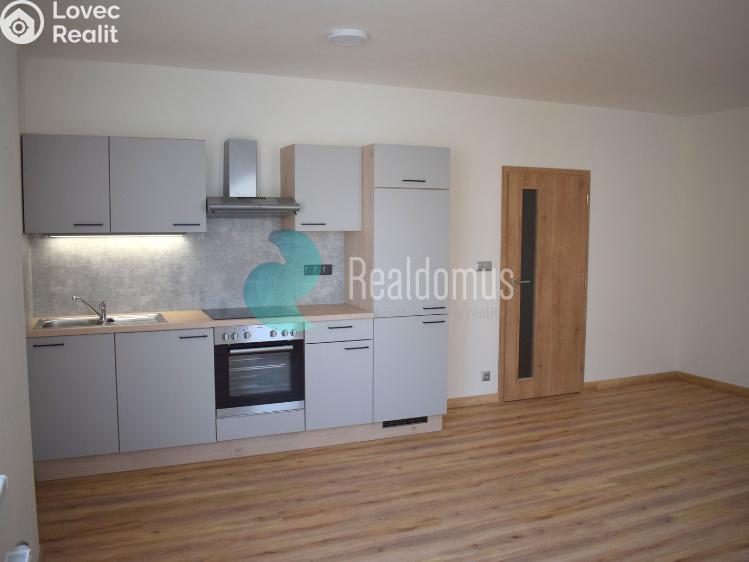 Pronájem bytu 1+KK České Budějovice, České Vrbné č. 1