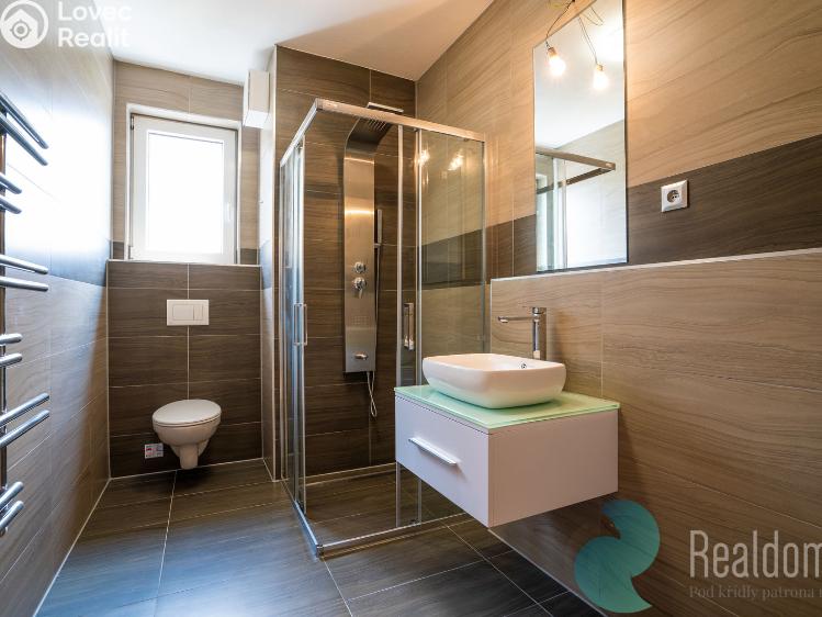 Pronájem bytu 1+KK České Budějovice, České Vrbné č. 4