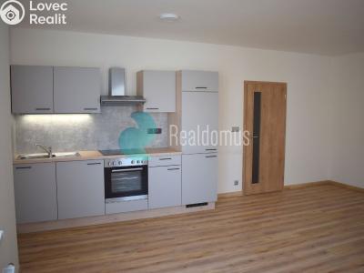 Pronájem bytu 1+KK České Budějovice, České Vrbné č. 1