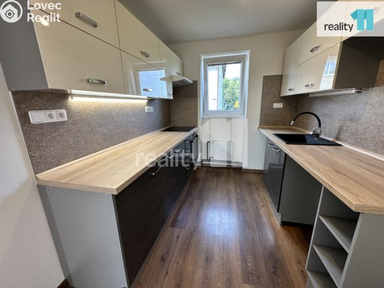 Pronájem bytu 3+1 Bezděz č. 1