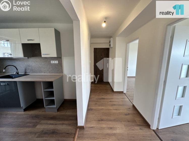 Pronájem bytu 3+1 Bezděz č. 3