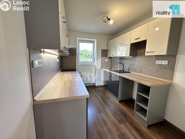 Pronájem bytu 3+1 Bezděz č. 4