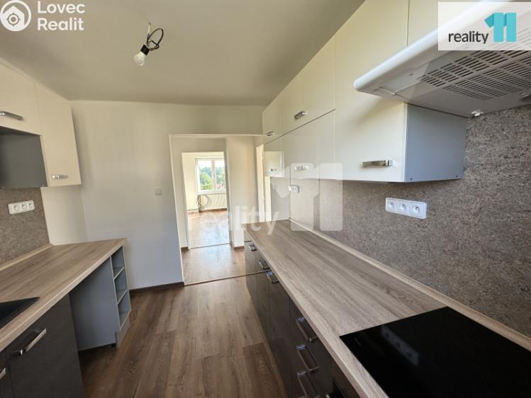 Pronájem bytu 3+1 Bezděz č. 5