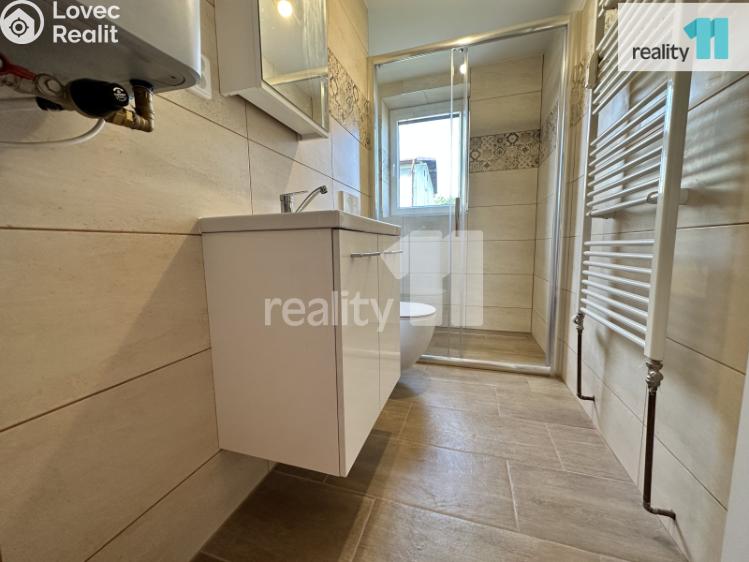 Pronájem bytu 3+1 Bezděz č. 10