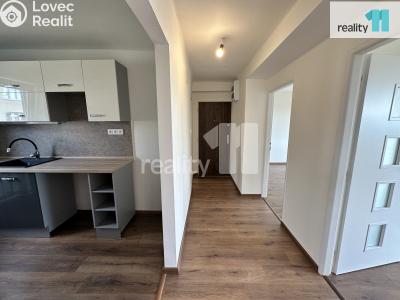 Pronájem bytu 3+1 Bezděz č. 3