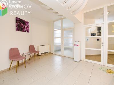 Rent commercial space Beroun, Česká č. 5