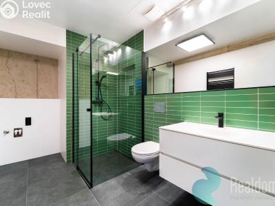 Pronájem bytu 2+KK České Budějovice, V. Talicha č. 3