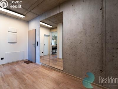 Pronájem bytu 2+KK České Budějovice, V. Talicha č. 5