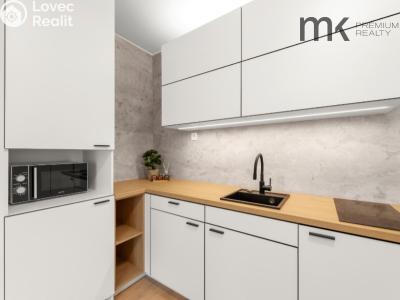 Pronájem bytu 1+KK Praha, Na bitevní pláni č. 4