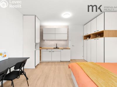 Pronájem bytu 1+KK Praha, Na bitevní pláni č. 5