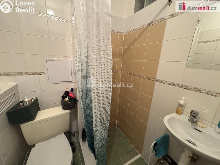 Pronájem bytu 1+1 Příbram, Mariánská č. 3