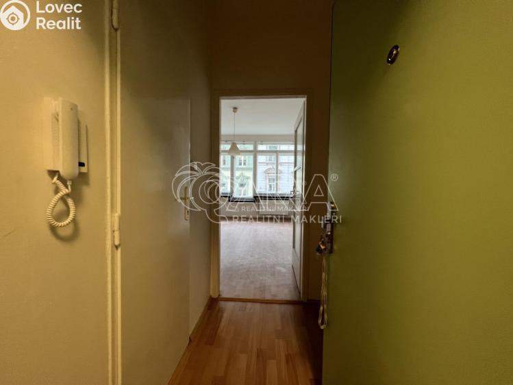 Pronájem bytu 1+KK Praha 7 č. 4