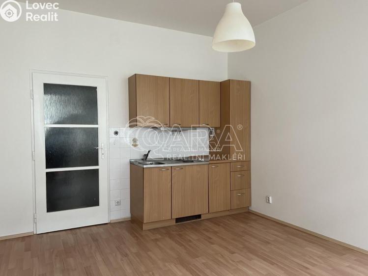 Pronájem bytu 1+KK Praha 7 č. 7