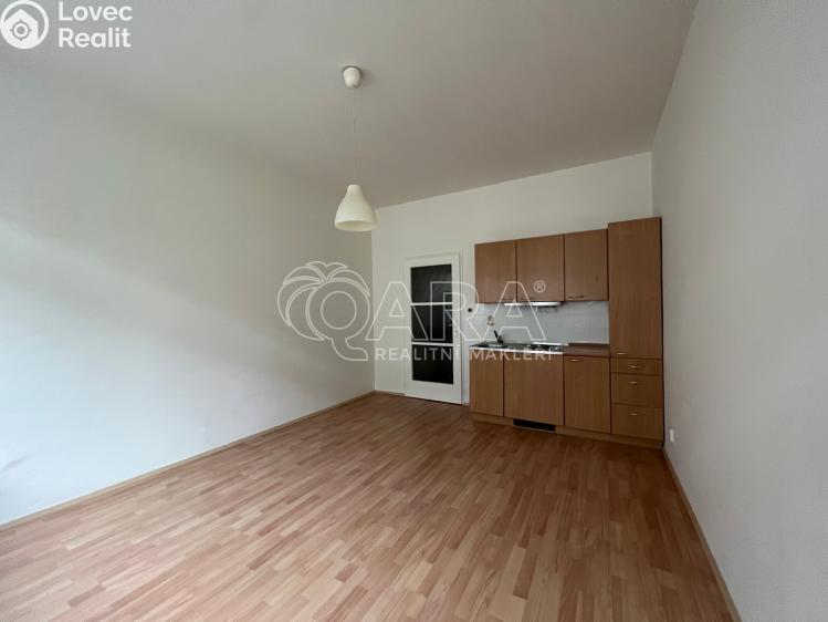 Pronájem bytu 1+KK Praha 7 č. 8