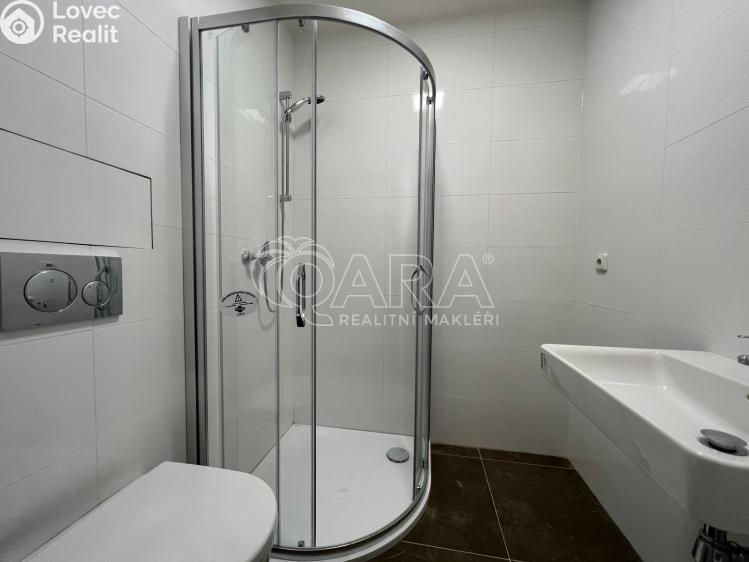 Pronájem bytu 1+KK Praha 7 č. 9