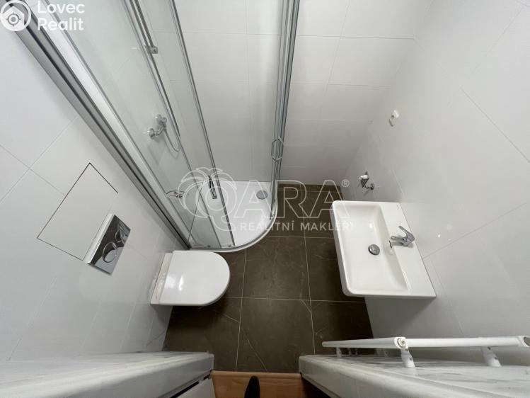 Pronájem bytu 1+KK Praha 7 č. 10