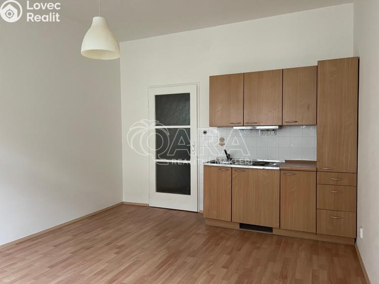 Pronájem bytu 1+KK Praha 7 č. 11