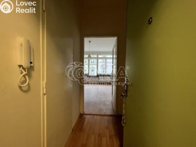 Pronájem bytu 1+KK Praha 7 č. 4