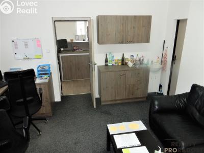 Rent commercial properties Kladno, Smetanova č. 7
