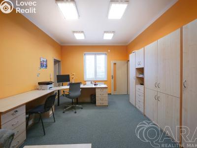 Prodej výrobní haly Slaný, Pražská č. 5