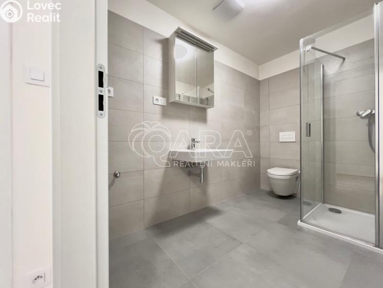 Pronájem bytu 1+KK Brno, Střední č. 8