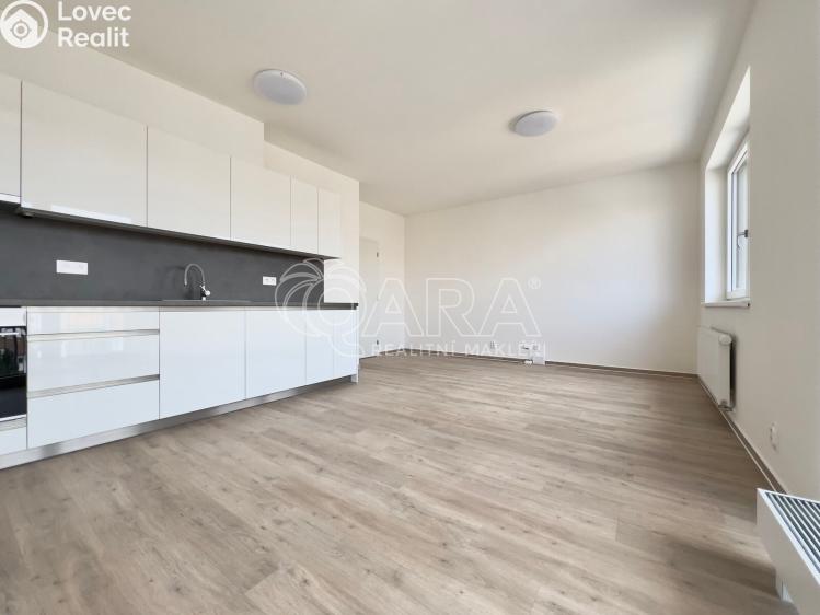 Pronájem bytu 1+KK Brno, Střední č. 4