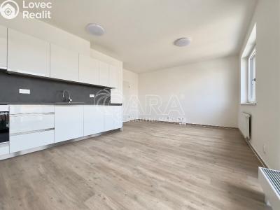 Оренда квартири 1+KK Brno, Střední č. 4