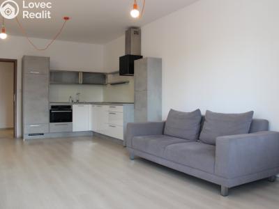 Pronájem bytu 2+KK Pardubice, Pod Vinicí 2842 č. 4