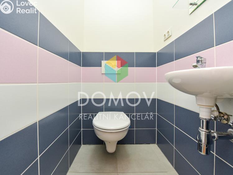 Аренда семейного дома Králův Dvůr, Na Výsluní 497 č. 11