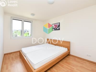 Оренда сімейного будинку Králův Dvůr, Na Výsluní 497 č. 6