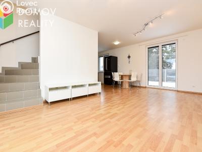 Аренда семейного дома Králův Dvůr, Na Výsluní 497 č. 4