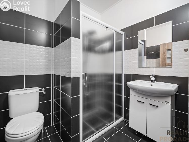 Продажа семейного дома Choltice č. 18