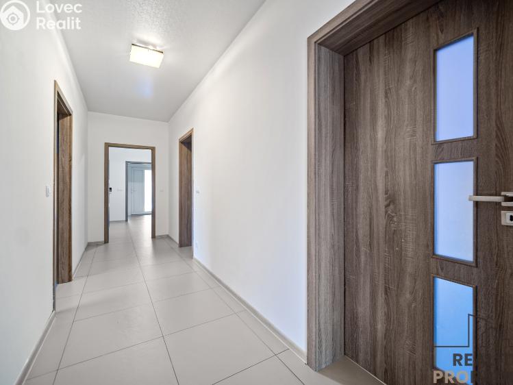 Продажа семейного дома Choltice č. 22