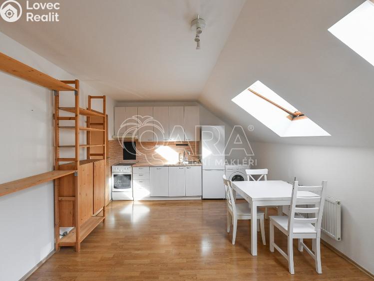 Pronájem bytu 2+KK Praha, Zbuzkova 175/51 č. 1