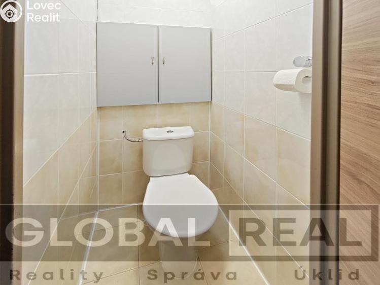 Pronájem bytu 1+1 Jihlava, U Pivovaru č. 8