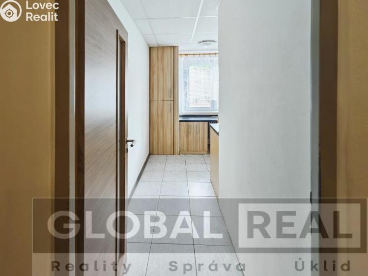 Rent apartment 1+1 Jihlava, U Pivovaru č. 5